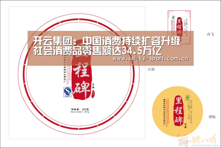 开云集团:中国消费持续扩容升级社会消费品零售额达34.5万亿(图4) 开云体育官网