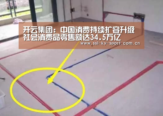 开云集团:中国消费持续扩容升级社会消费品零售额达34.5万亿(图2) 开云集团