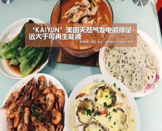 ‘KAIYUN’美国天然气发电减排量远大于可再生能源(图1) 开云