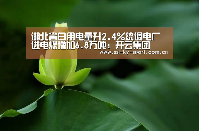 湖北省日用电量升2.4%统调电厂进电煤增加6.8万吨:开云集团(图1) 开云